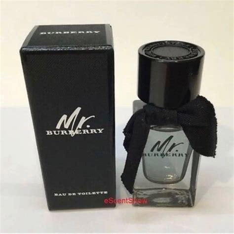 mr burberry cologne travel size